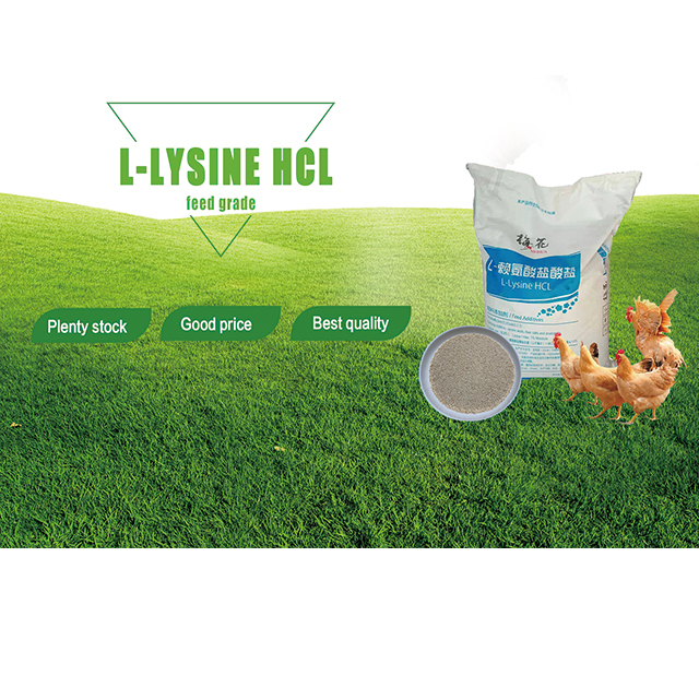 L-リジン塩酸塩フィードグレード家禽